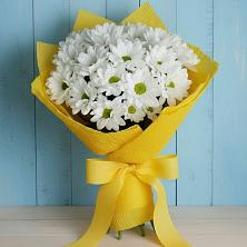 Букет цветов из:  Хризантемы в Дюртюли