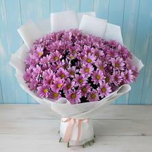 Букет цветов из:  Хризантемы в Дюртюли