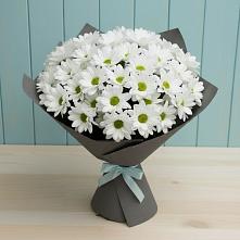Букет цветов из:  Хризантемы в Дюртюли