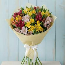 Букет цветов из:  Альстромерии в Дюртюли
