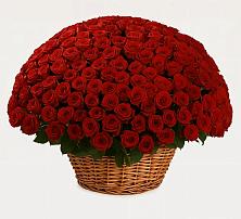 Премиум букет из: Розы в Дюртюли