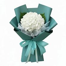 Букет цветов из:  Гортензия в Дюртюли